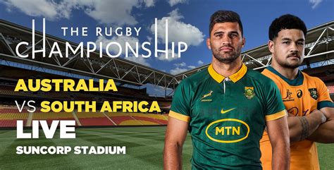 wallabies vs springboks odds
